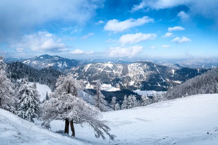 Winter am Schneeberg, © NB/Zwickl