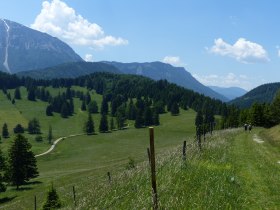 Auf der Mamauwiese Richtung Schoberalm, © Wiener Alpen, Foto: Eva Gruber